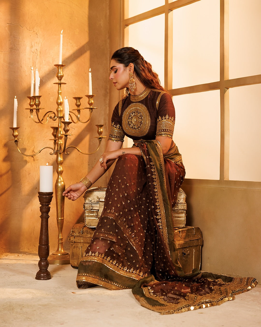Luxury Chocolate Brown Tibby Silk Saree With Intricate Thread & Sequence Work For Wedding, Reception & Festive Wear