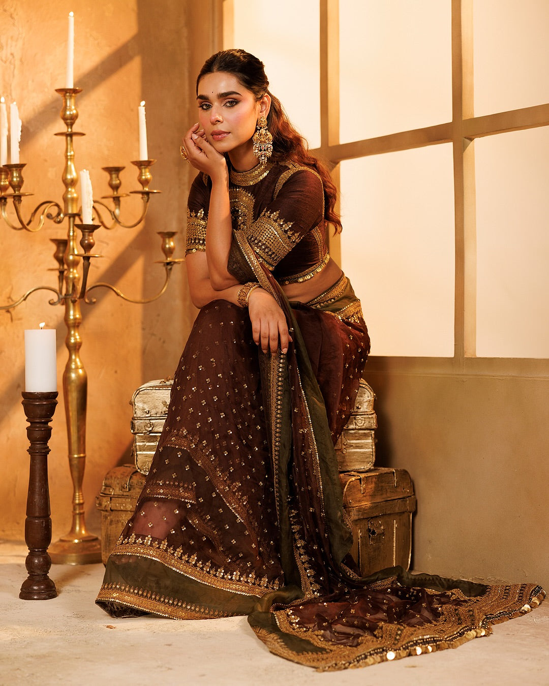Luxury Chocolate Brown Tibby Silk Saree With Intricate Thread & Sequence Work For Wedding, Reception & Festive Wear