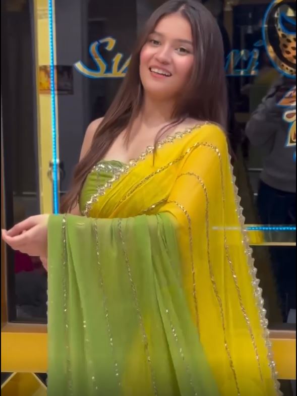 Premium Two-Shade Georgette Saree | Handwork Detailing