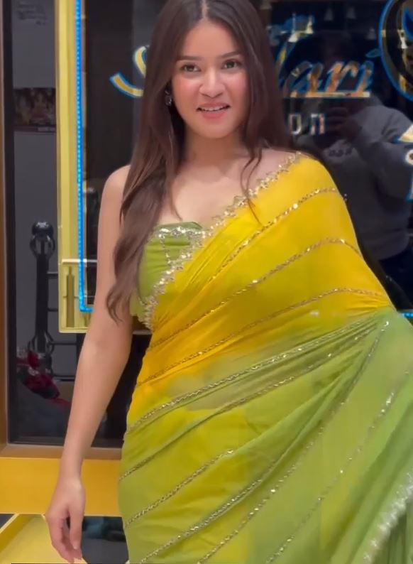 Premium Two-Shade Georgette Saree | Handwork Detailing